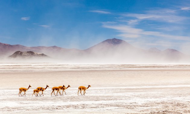 Storm op de Salar de Surire