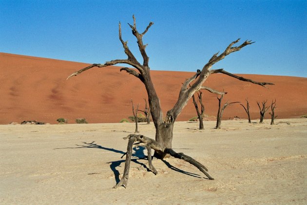 De indrukwekkende Deadvlei