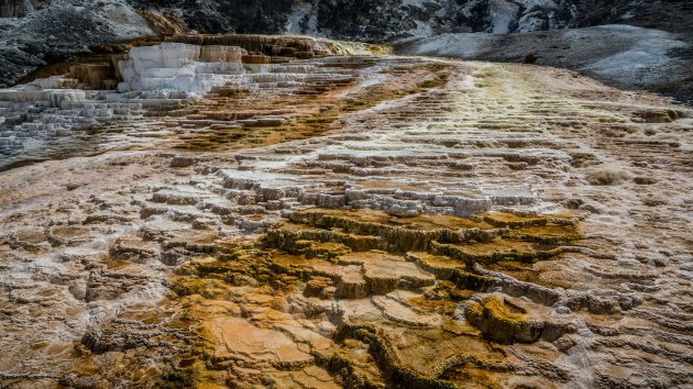 Mammoth Hot Springs