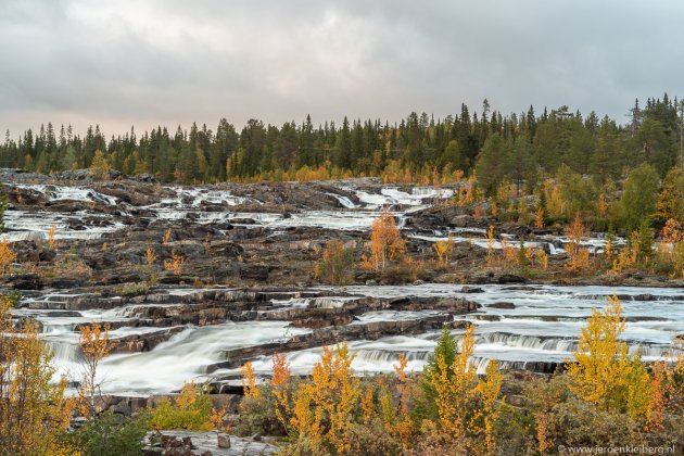 Trappstegsforsen