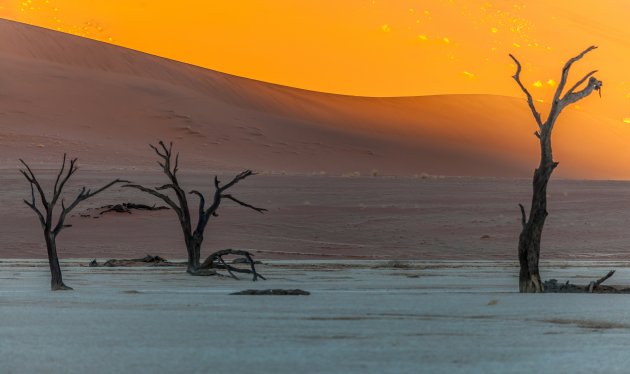 Deadvlei bij zonsopkomst