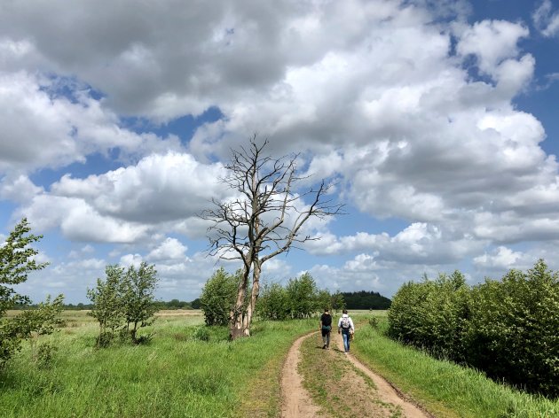 Ongerept Drenthe