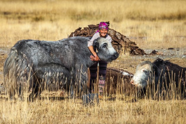 Dierenliefde op de steppe