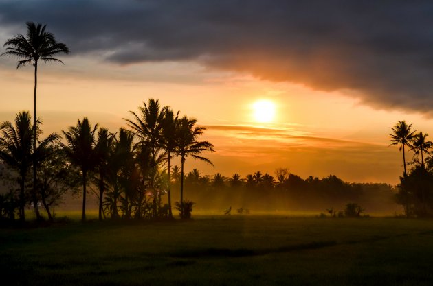 Magelang ontwaakt