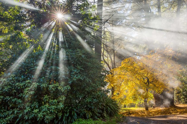 Rokerig zonnetje in de herfst