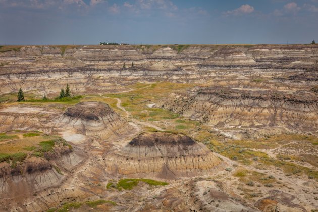 Horseshoe Canyon