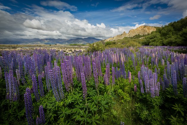 Clay Cliffs