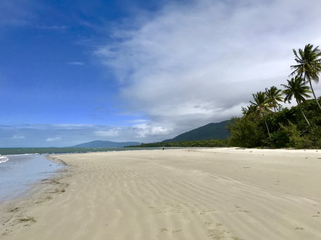 Cape Tribulation