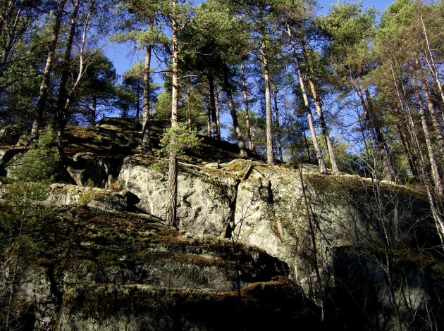 Stadswandeling door de natuur