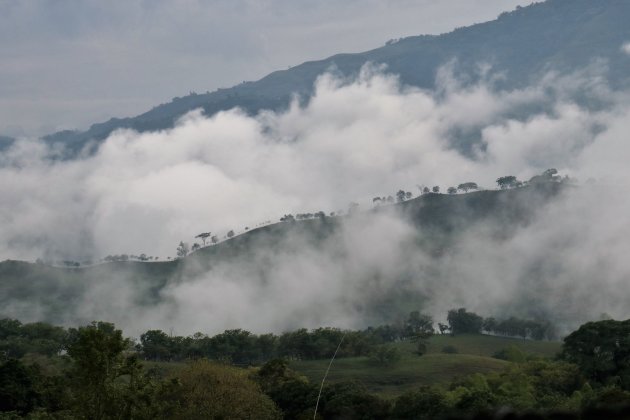 alles bijna in de wolken