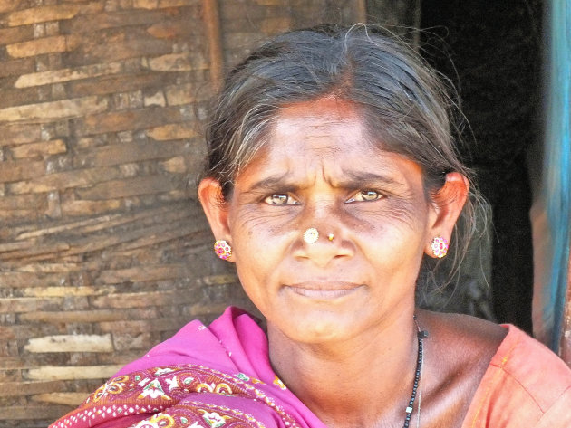 Adivasi gebied