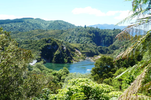 Waimangu Volcanic Valley