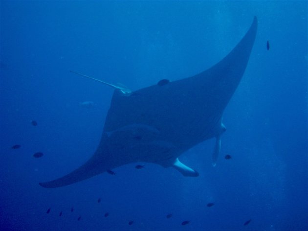 underwater ufo