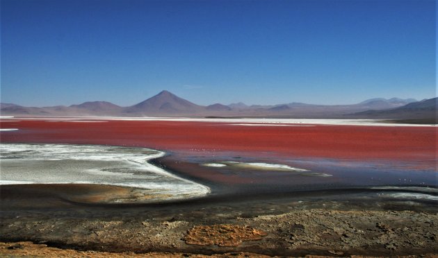 Laguna Colorada