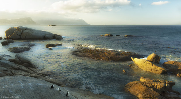 Pinguins kijken op Boulders Beach