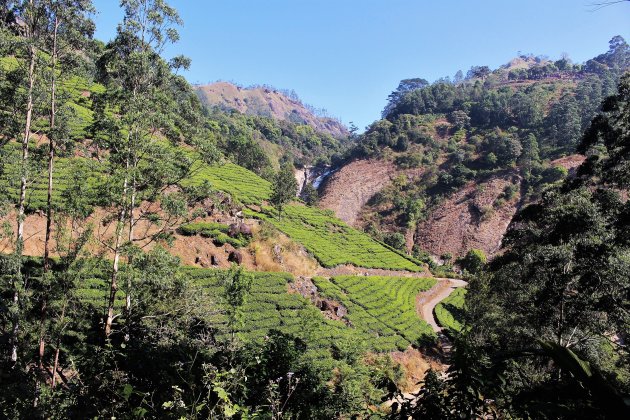 Western Ghats