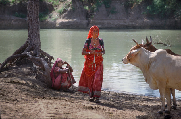 India Rajasthan