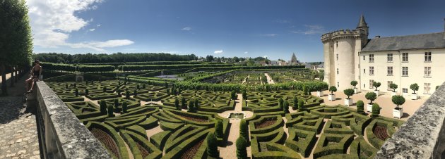 Fanatieke tuinmannen