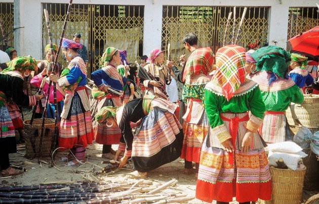 Flower Hmong