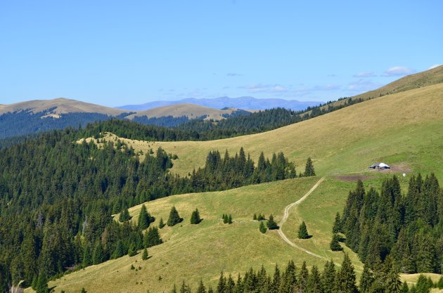 Transsylvanische Alpen