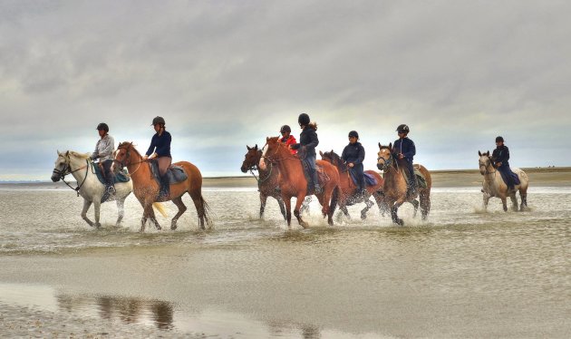 Paarden op het wad