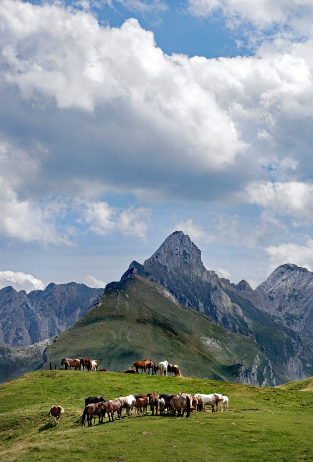 Eindeloos wandelen op de cols