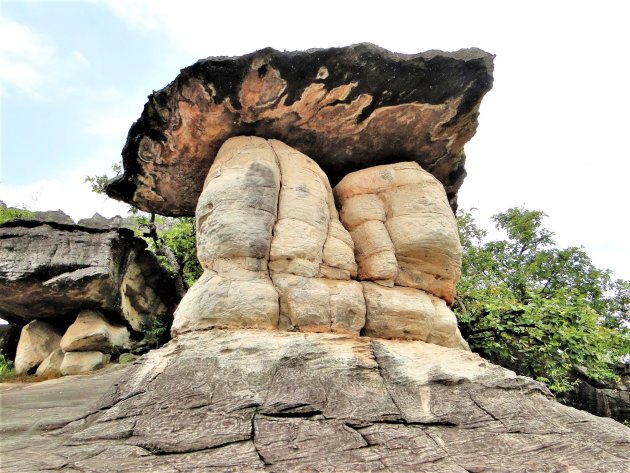 Nationaal Park Phu Sa Dok Bua.