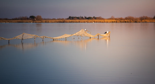 Parc Ornithologique pont de gau