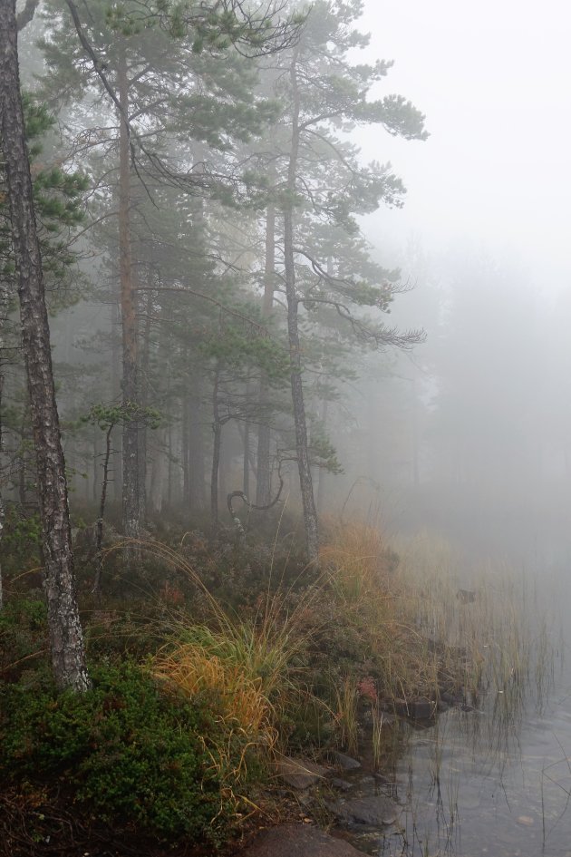 Terug naar Tärnättvattnet, Höge Kusten