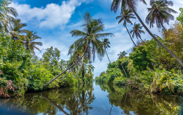 The Dutch Canal - Negombo