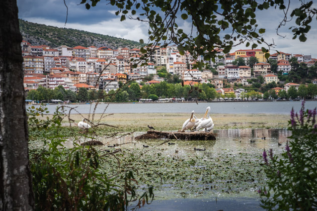 Zicht op Kastoria