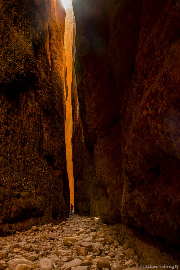 Echidna Chasm