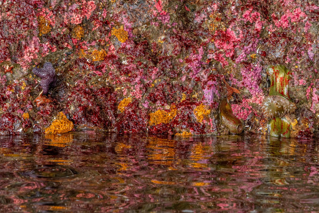 Grot met een kleurrijke onderwaterwereld