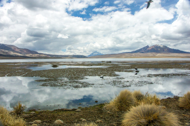 Lauca N.P bezoeken