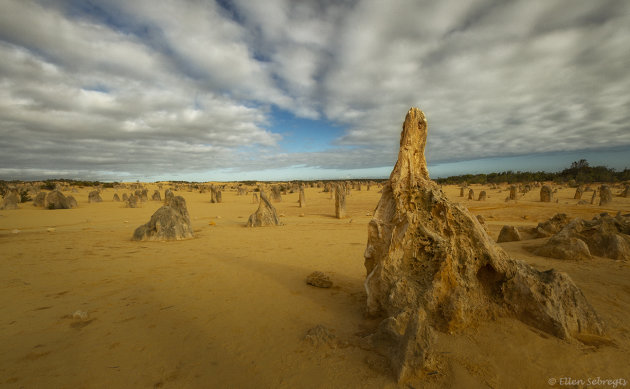 Pinnacles Desert