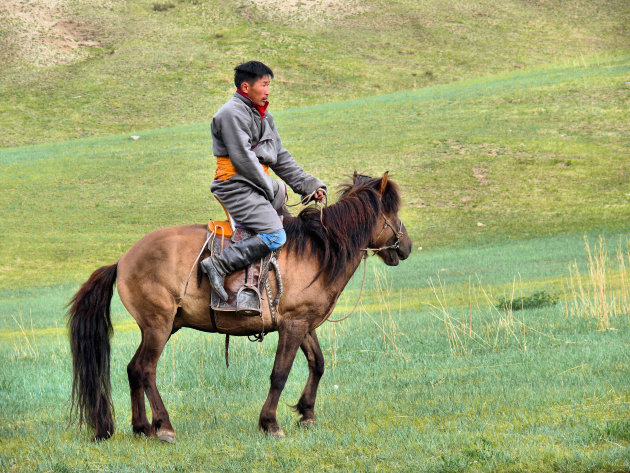 Paard rijden