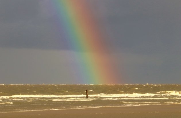 Zwemmen naar het goud...