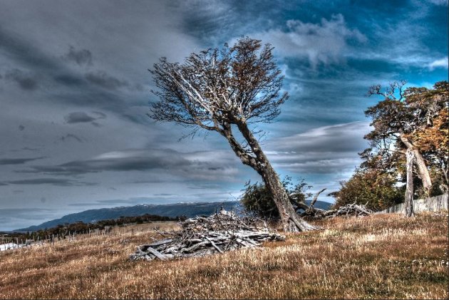 Patagonië