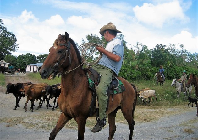 De cowboys van Cuba