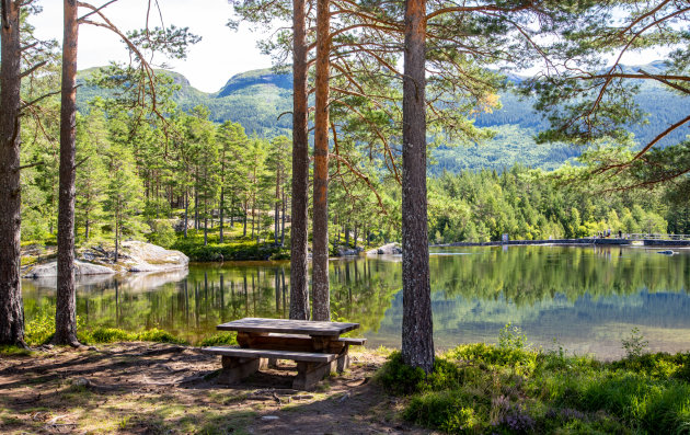 Heel veel picknick plaatsjes