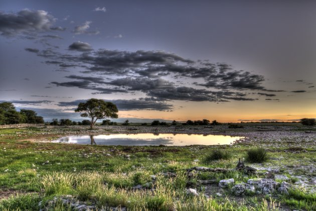 Namibië Etosha Okaukuejo Restcamp