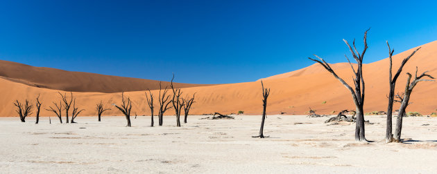 Deadvlei