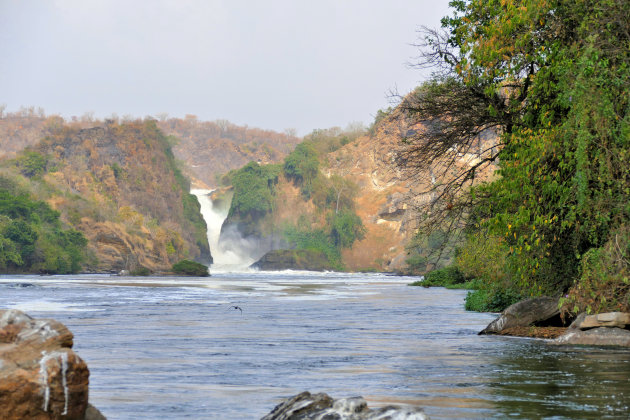 Murchison falls