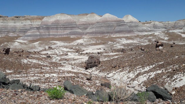 Petrified Forest, Arizona  2-luik, landschap