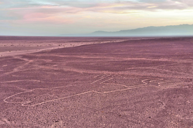 Nazca lijnen