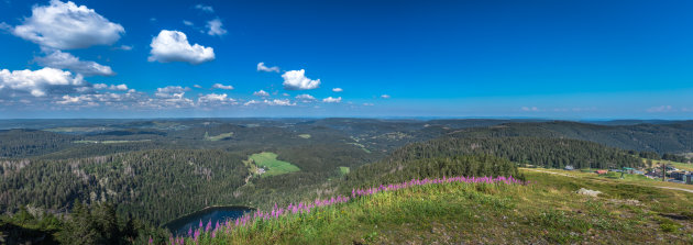 Uitzicht op de Feldberg