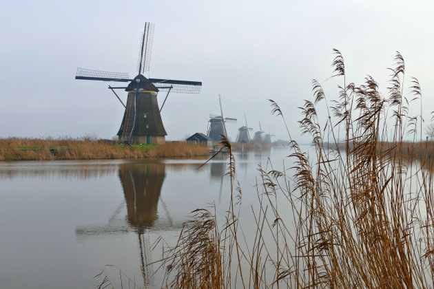 Kinderdijk