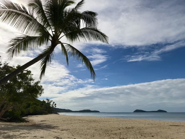 Paradijselijk Kewarra Beach