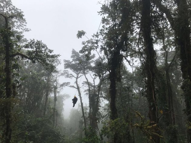 Ziplijnen in Monteverde