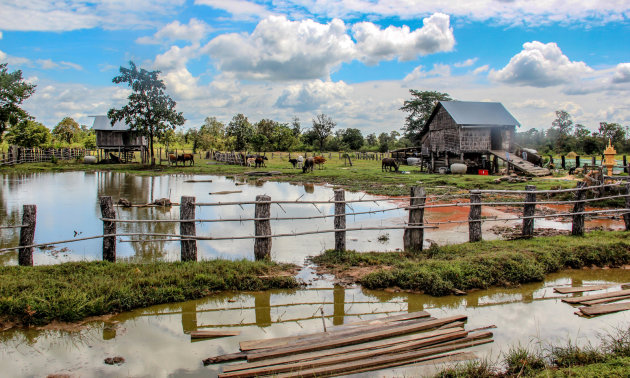 Het platteland